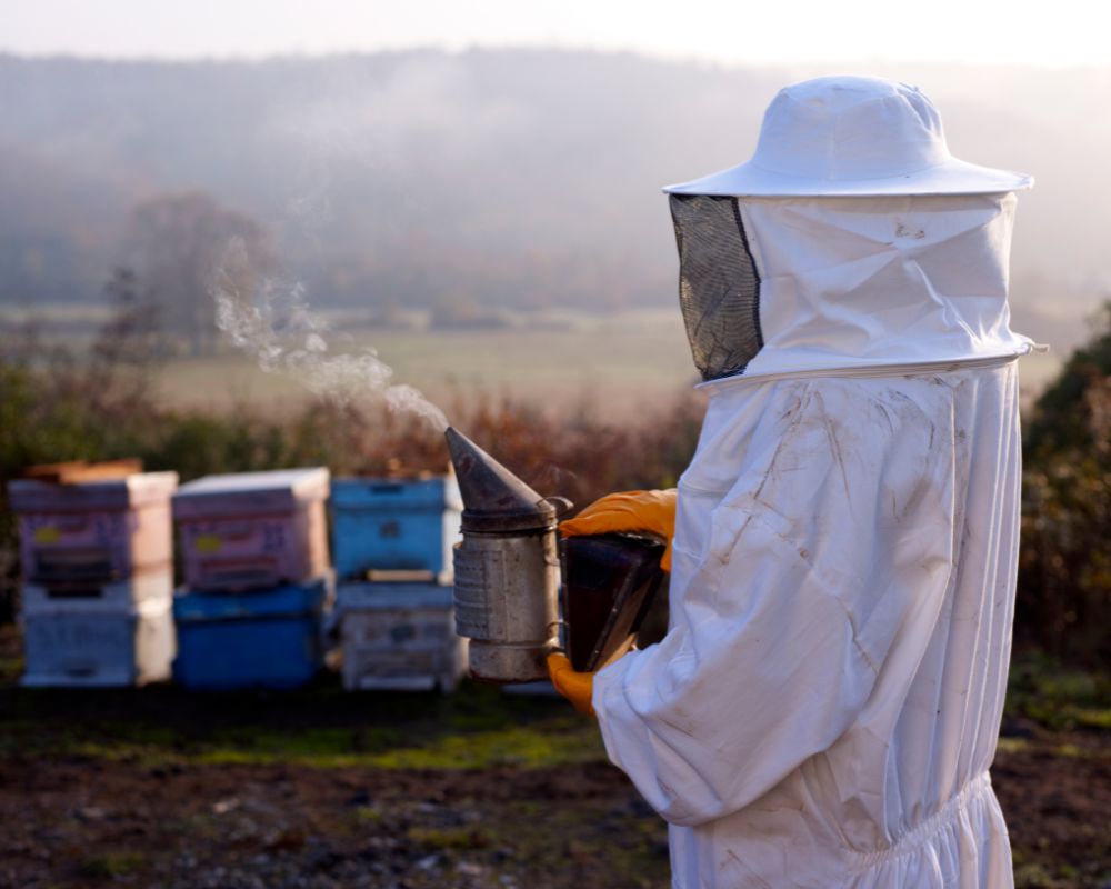 EcoGuardians: Pioneering Bee Conservation with Gentle Removal Techniques in LA